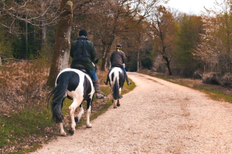 balade à cheval argelès