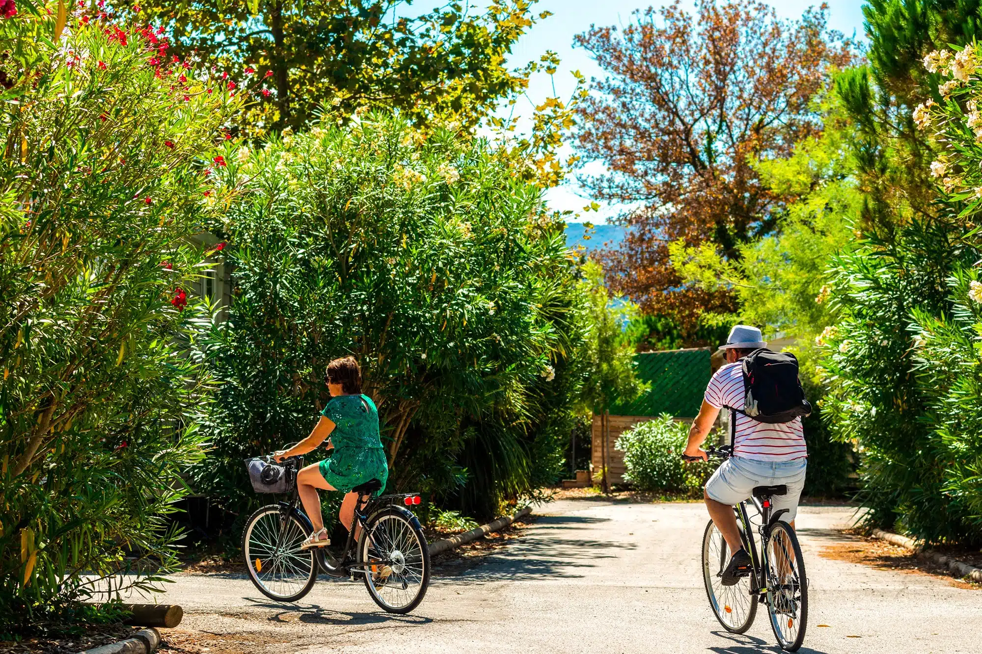 Balade à vélo dans les allées du camping