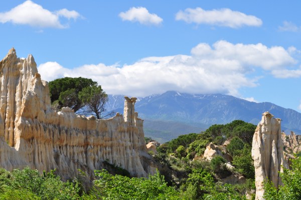 orgues de l'ille sur tet