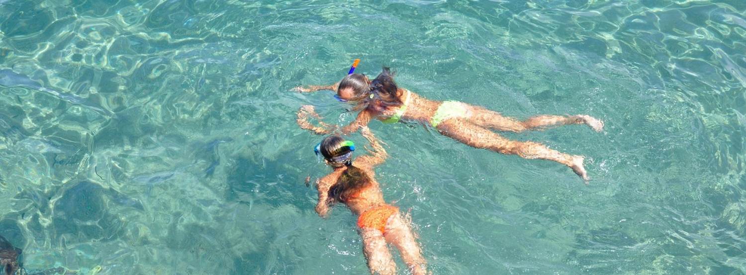 Snorkeling à Argelès sur Mer