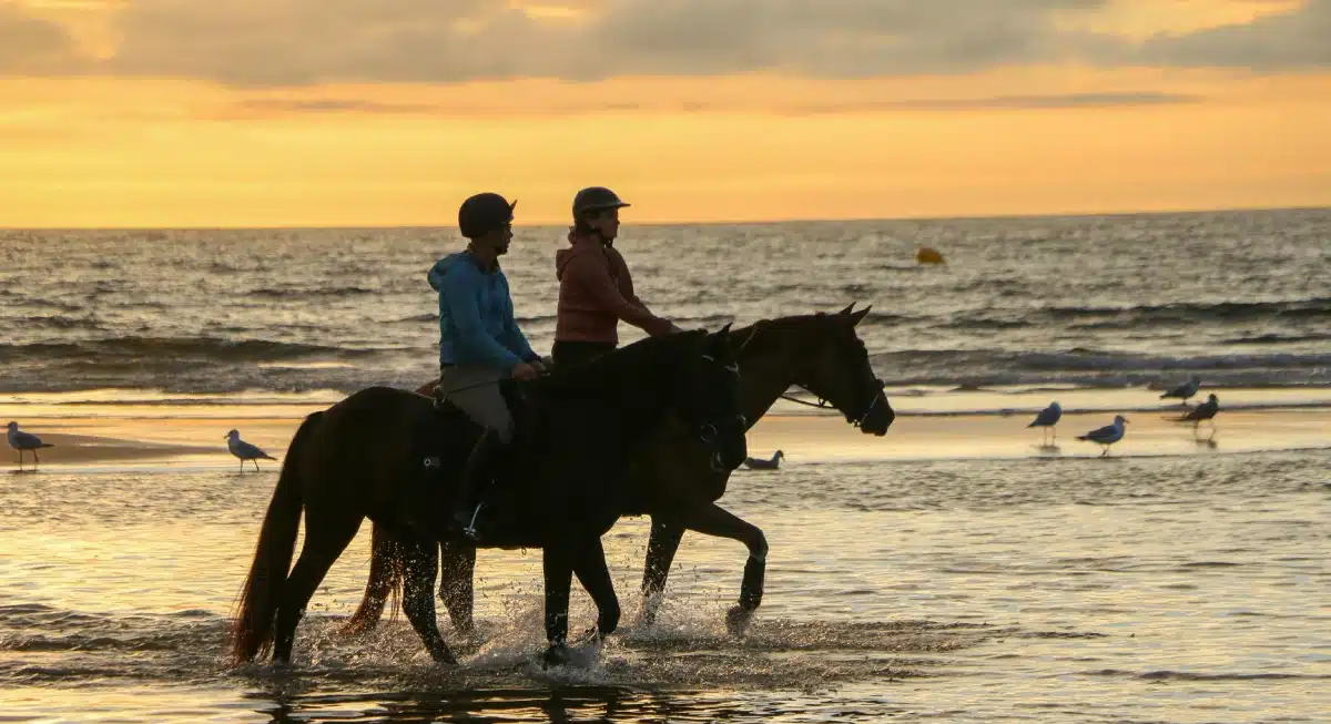 walk beach