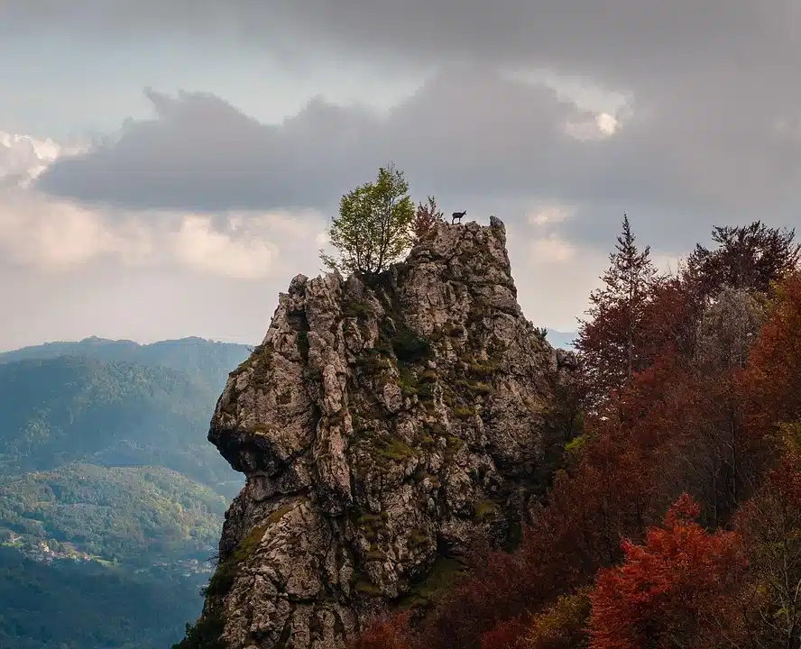 Laroque des Albères 1